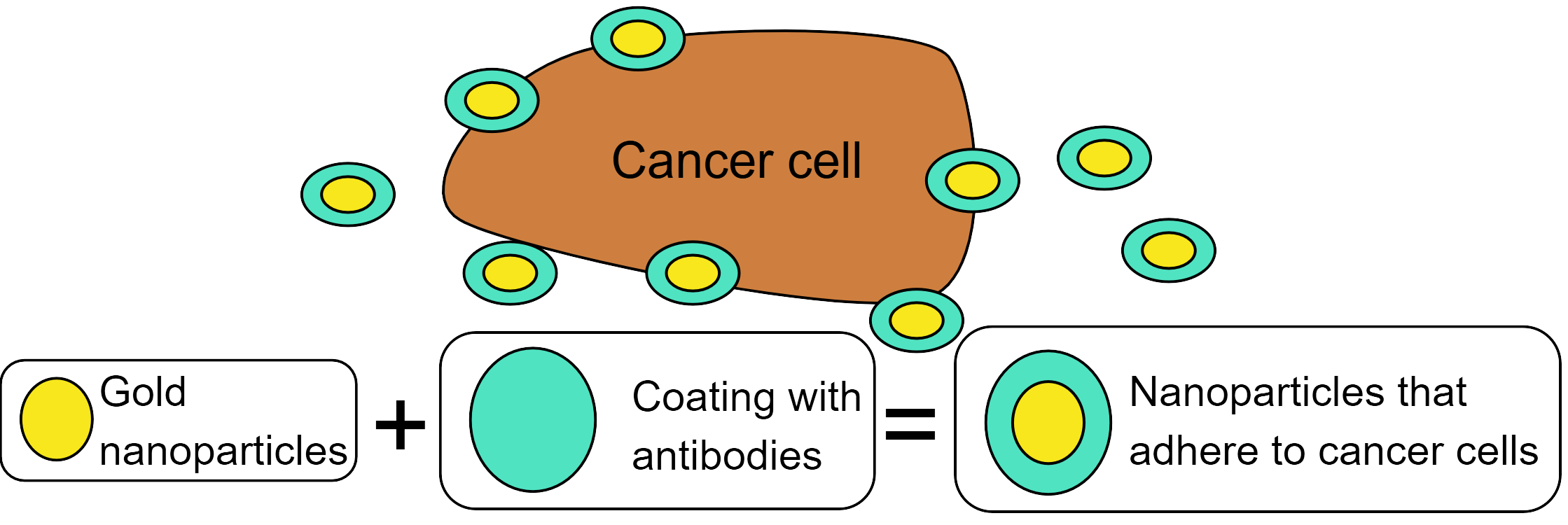 Nanoparticles targeting cancer